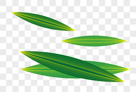粽子叶绿色植物叶子图片
