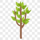 小清新植物树木图片