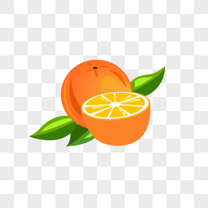 橙子矢量图水果高清图片