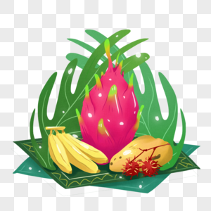 热带水果元素红毛丹高清图片