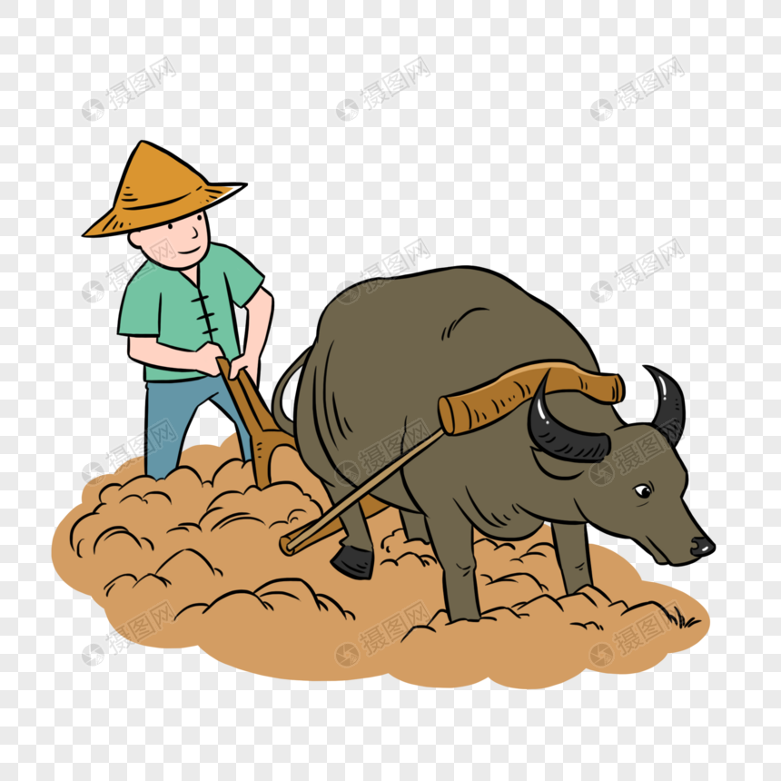 农民耕牛犁地