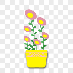 黄色花瓶植物花朵图片