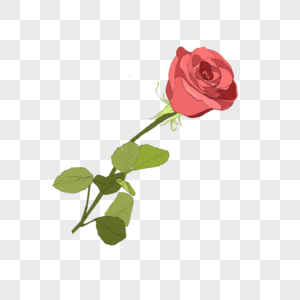 浪漫红玫瑰红色手绘红玫瑰高清图片