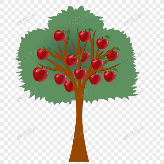 苹果树植物装饰图片