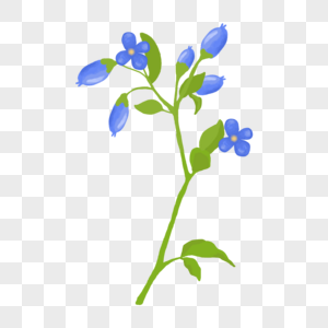 蓝色花朵植物高清图片