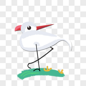 西伯利亚红嘴鸥图片