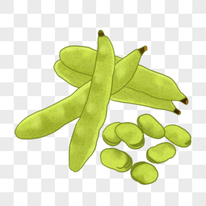 手绘蔬菜菜蚕豆素材