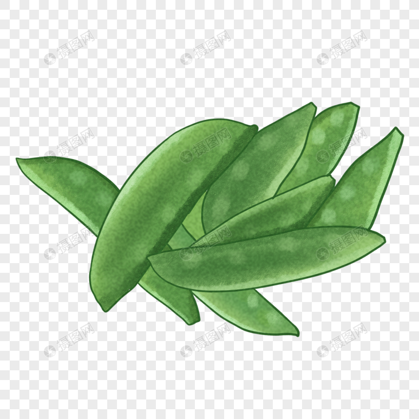 扁豆