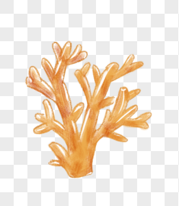 手绘珊瑚图片