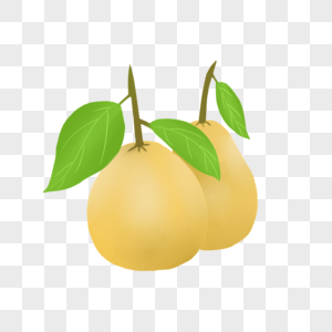 葫芦型柚子图片