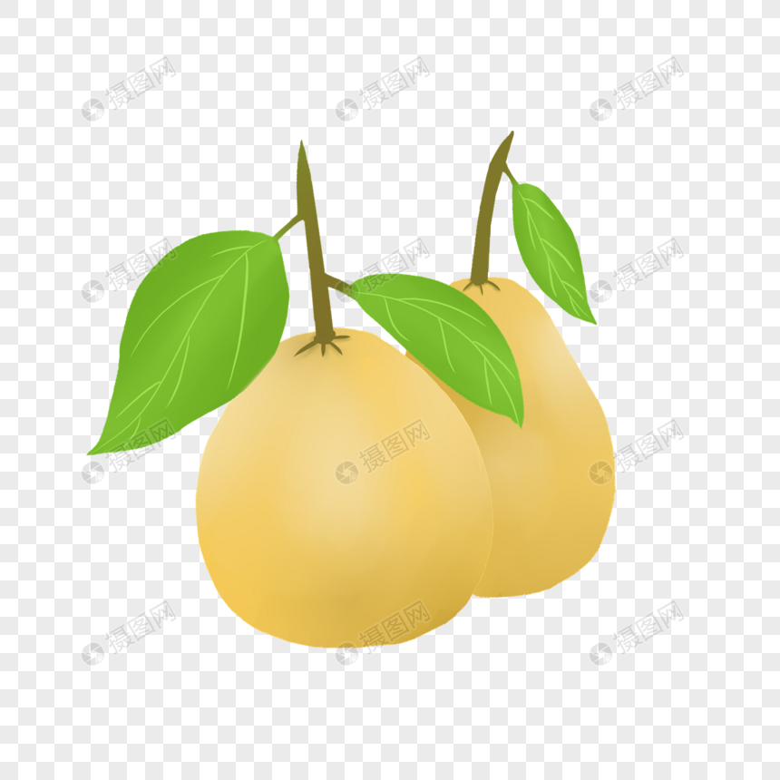 葫芦型柚子图片