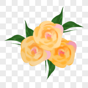 520玫瑰花鲜花情人节花朵表白爱情花束求婚图片