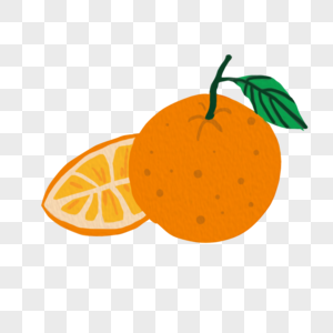 手绘多汁美味的橙子图片