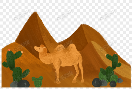 沙漠中的仙人掌和骆驼图片