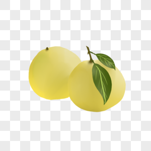 两个柚子图片