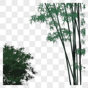 中国风竹子树丛图片