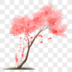 油桐花树元素 免抠素材 Png图片下载 摄图网