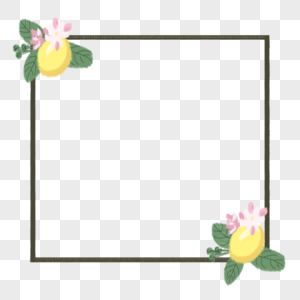 柠檬花图片