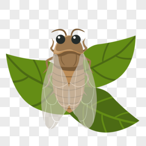 绿色知了图片