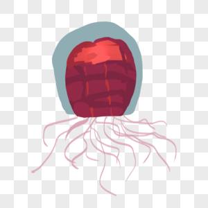 红灯笼水母装饰图片