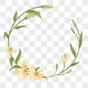 百合花枝图片