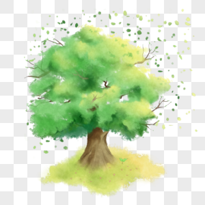 生机之树清新绿色初夏高清图片