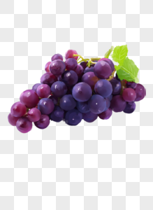 葡萄水彩图片