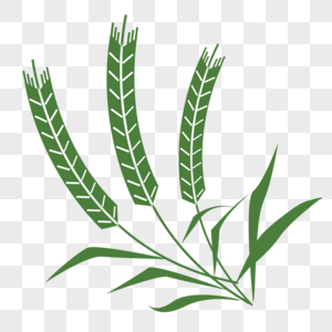 绿色抽象的麦穗图片素材
