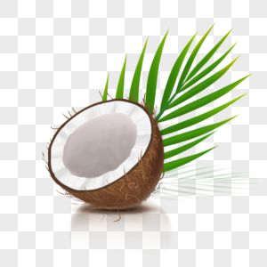 椰子手绘椰子高清图片