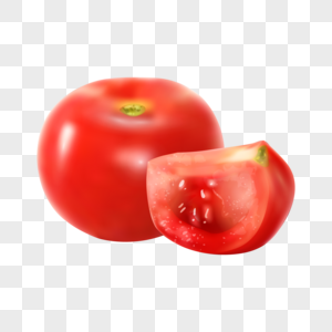 矢量西红柿图片