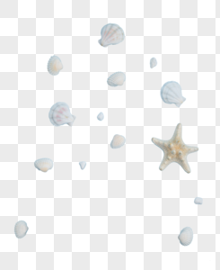 海洋贝壳海星图片