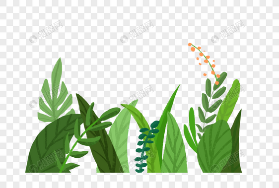 绿色植物素材分图层图片