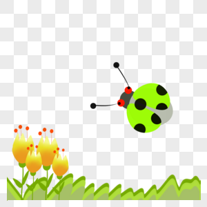 花丛中的七星瓢虫图片