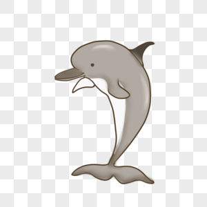 灰色可爱小海豚图片