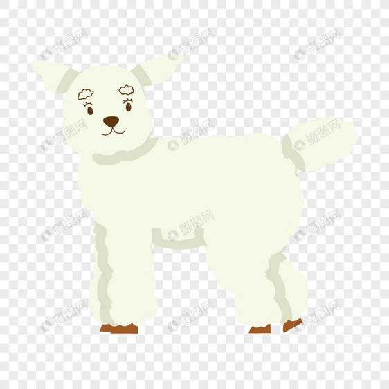 这是一只小绵羊不是贵宾狗图片