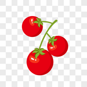 西红柿果实手绘高清图片