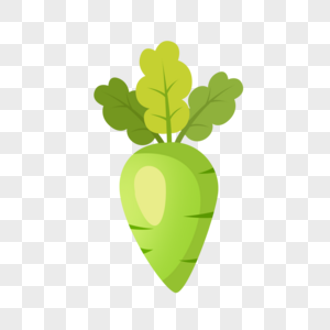 萝卜植物图片