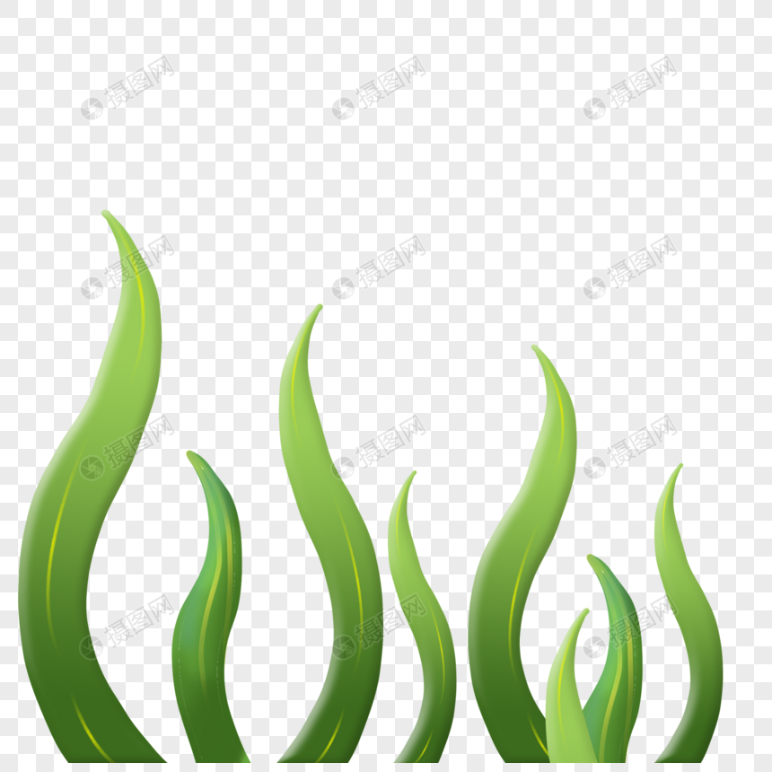 绿色立体水草植物装饰图片