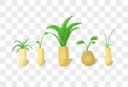 浅黄色花瓶里的植物图片
