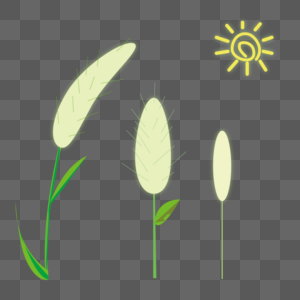 狗尾巴草稗子草图片绿色狗尾巴草图片狗尾巴草免扣图片狗尾巴草卡通图