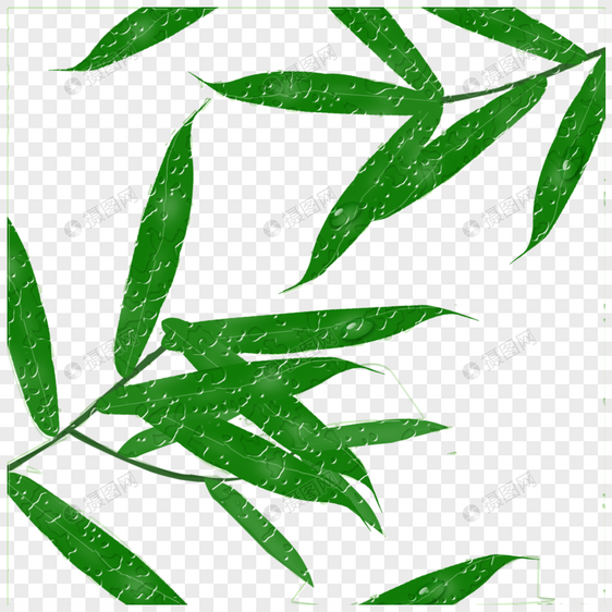 对称的竹叶图片