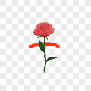 浪漫情人节一朵娇艳的玫瑰花图片