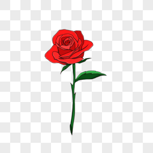 浪漫情人节一朵美丽的玫瑰花图片