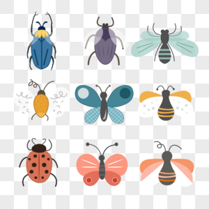 昆虫蜜蜂甲虫高清图片