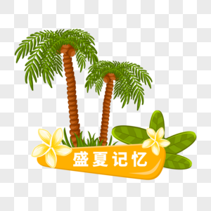 盛夏记忆图片