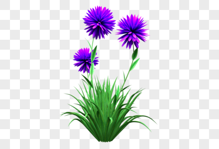 三朵紫花一从绿草图片