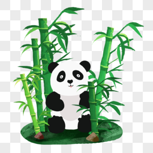 竹林熊猫熊猫竹林高清图片