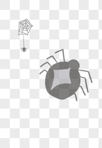黑寡妇蜘蛛黑寡妇蜘蛛高清图片