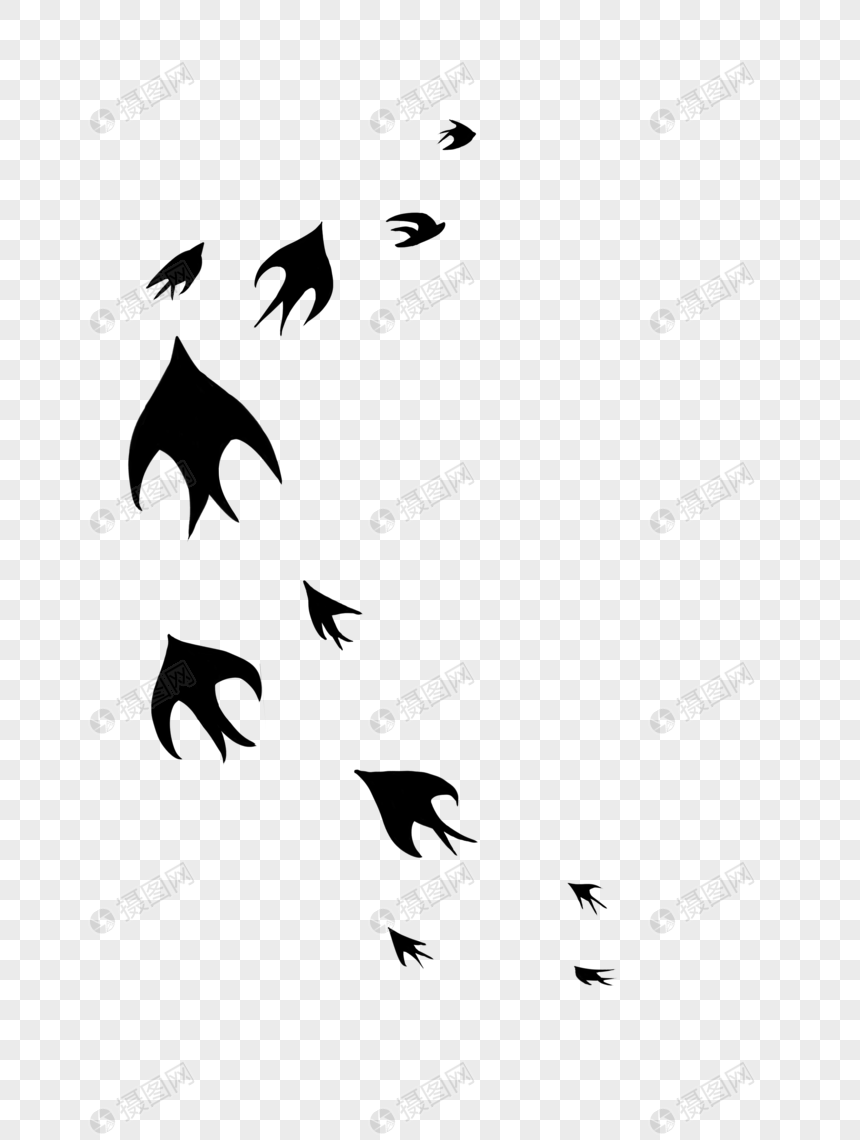 燕子黑色春天小动物图片
