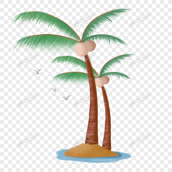 夏季度假海边的椰子树图片